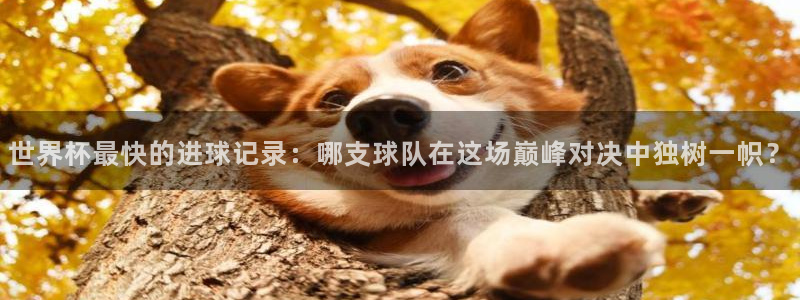 2026世界杯:世界杯最快的进球记录:哪支球队在这场巅峰对决中独树一帜?