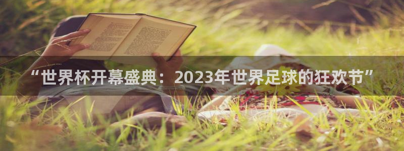 男足世界杯预选赛赛程:“世界杯开幕盛典:2023年世界足球的狂欢节”