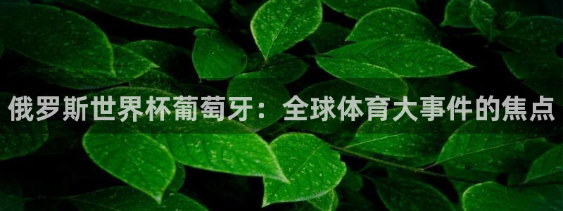 世界杯亚洲区预选赛:俄罗斯世界杯葡萄牙:全球体育大事件的焦点