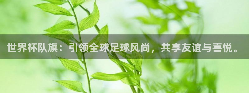 世界杯:世界杯队旗:引领全球足球风尚,共享友谊与喜悦。