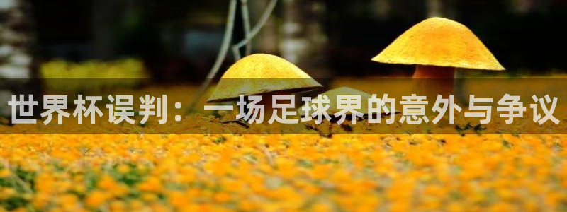 世界杯赛程2026:世界杯误判:一场足球界的意外与争议