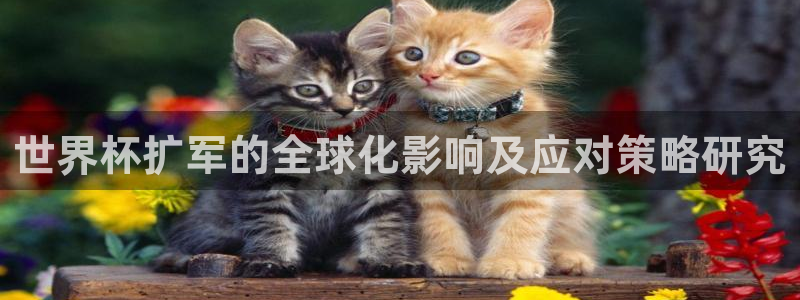 2026年世界杯赛程表时间:世界杯扩军的全球化影响及应对策略研究
