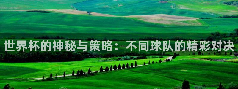 亚洲杯足球:世界杯的神秘与策略:不同球队的精彩对决
