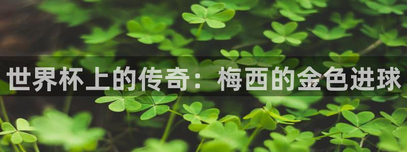 2026世界杯中国队:世界杯上的传奇:梅西的金色进球